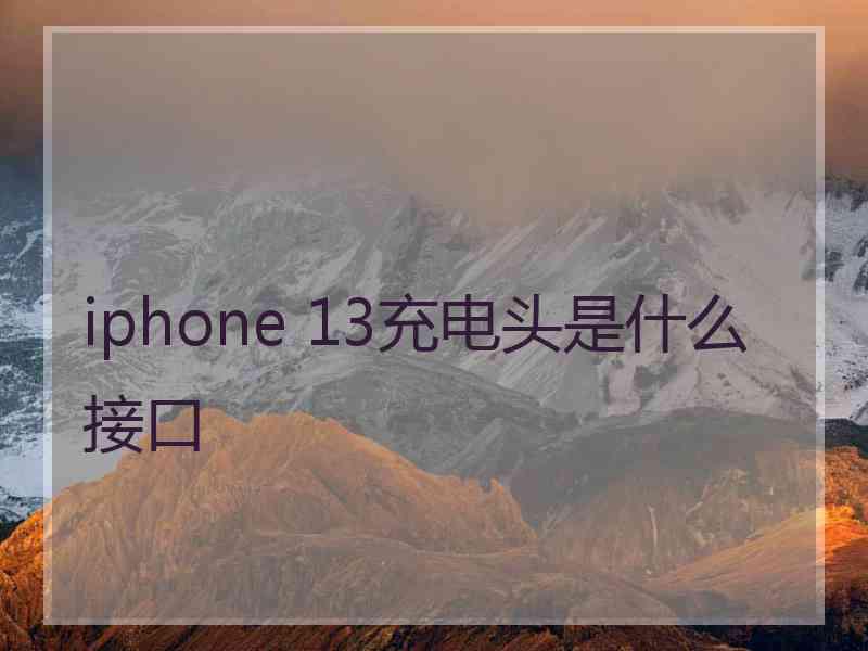 iphone 13充电头是什么接口