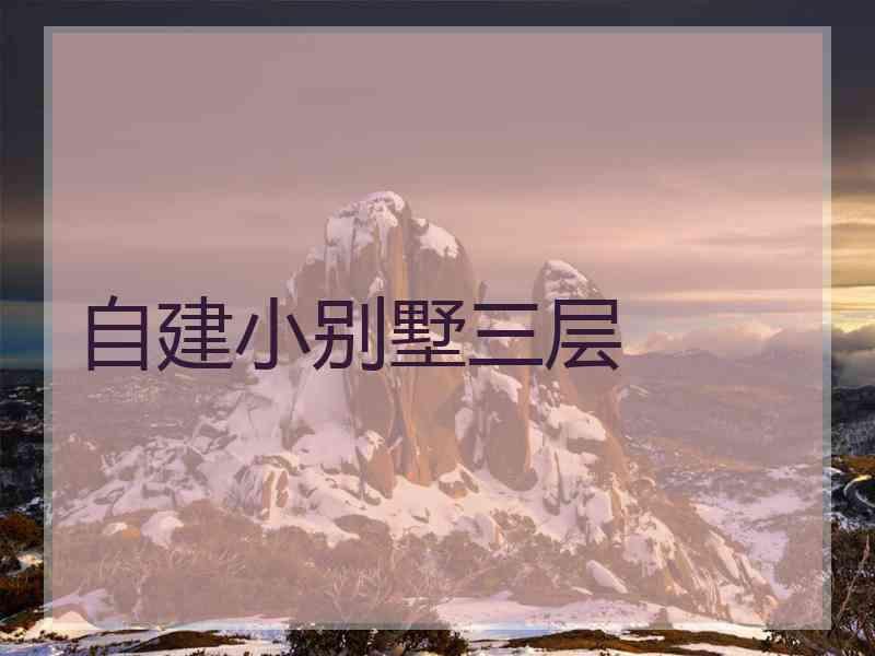 自建小别墅三层