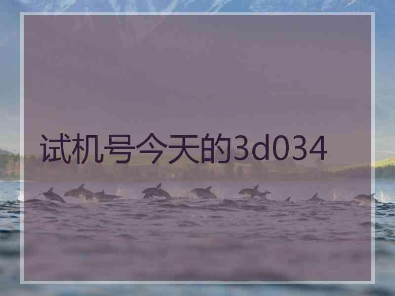 试机号今天的3d034