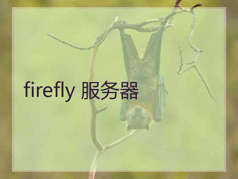 firefly 服务器