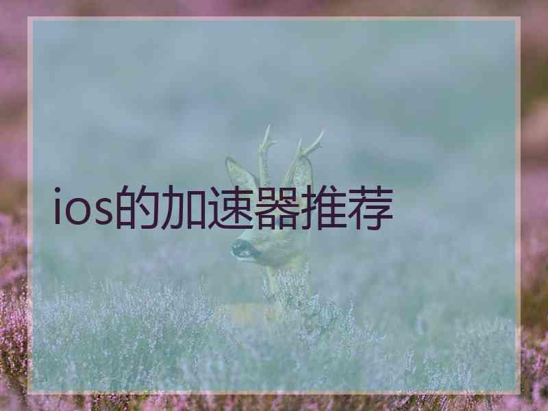 ios的加速器推荐