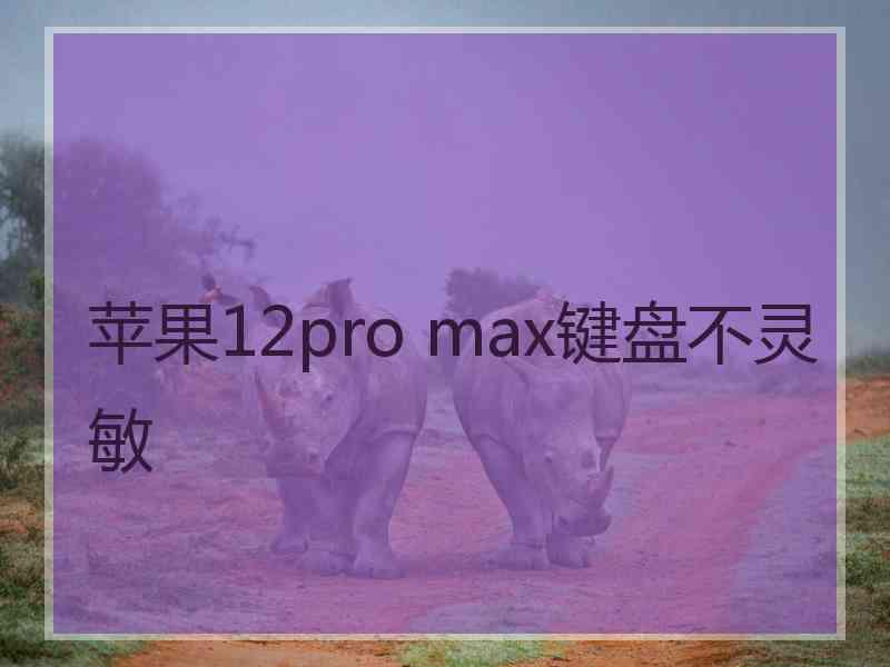 苹果12pro max键盘不灵敏