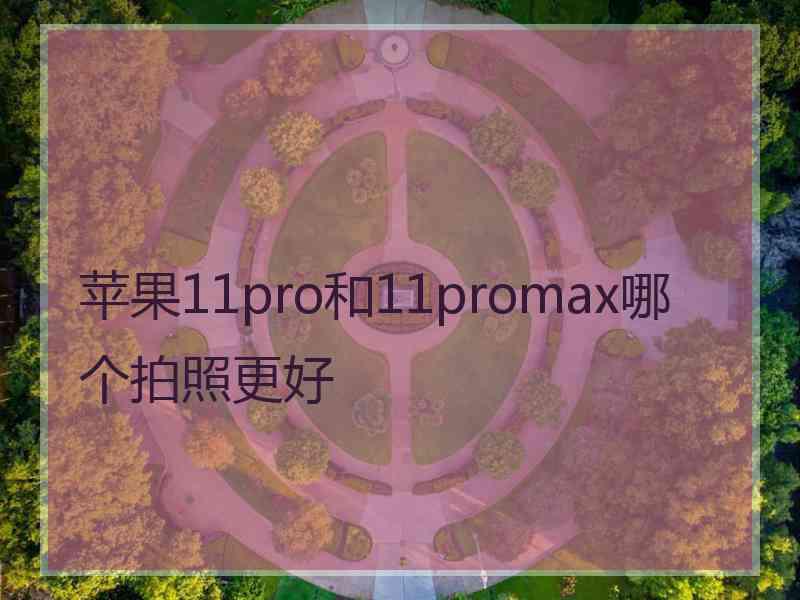 苹果11pro和11promax哪个拍照更好