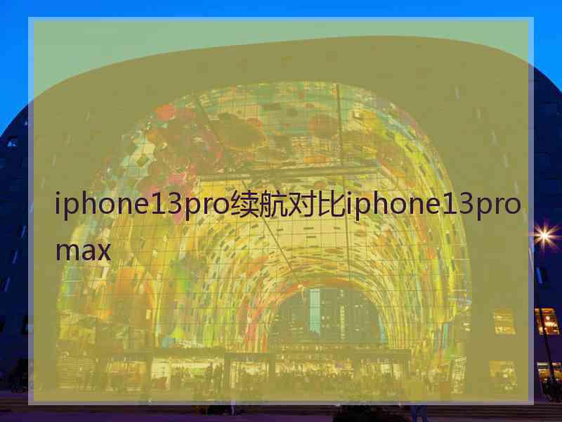 iphone13pro续航对比iphone13promax