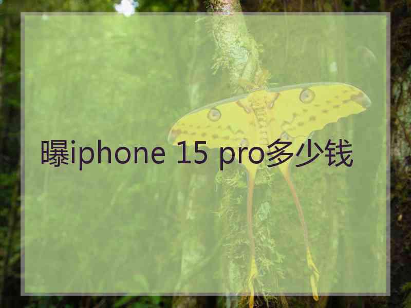 曝iphone 15 pro多少钱