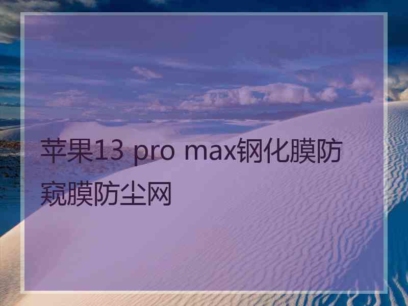 苹果13 pro max钢化膜防窥膜防尘网