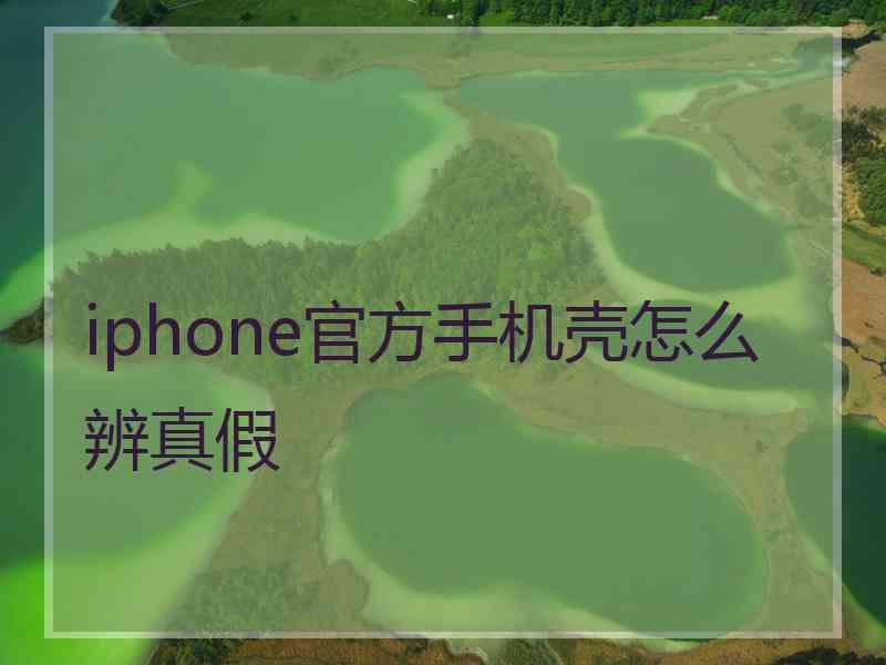 iphone官方手机壳怎么辨真假