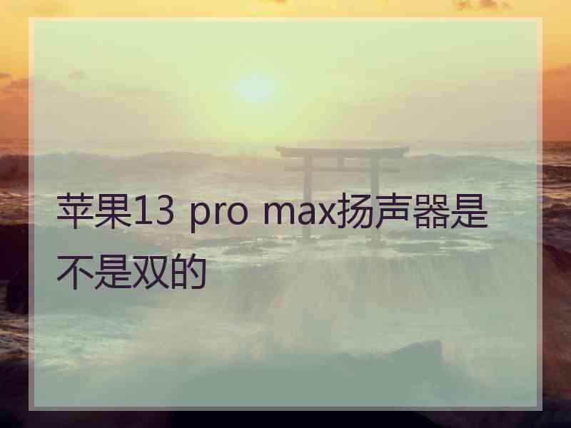 苹果13 pro max扬声器是不是双的