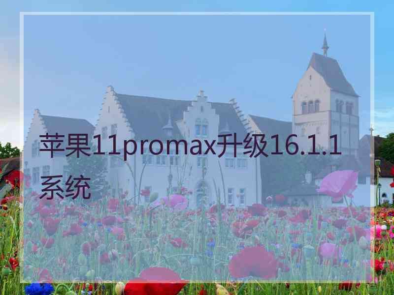 苹果11promax升级16.1.1系统