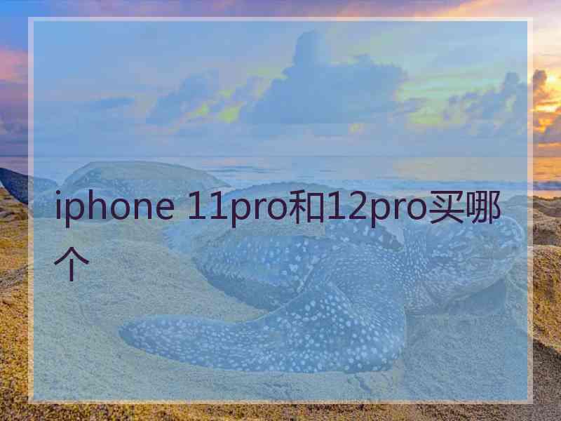 iphone 11pro和12pro买哪个