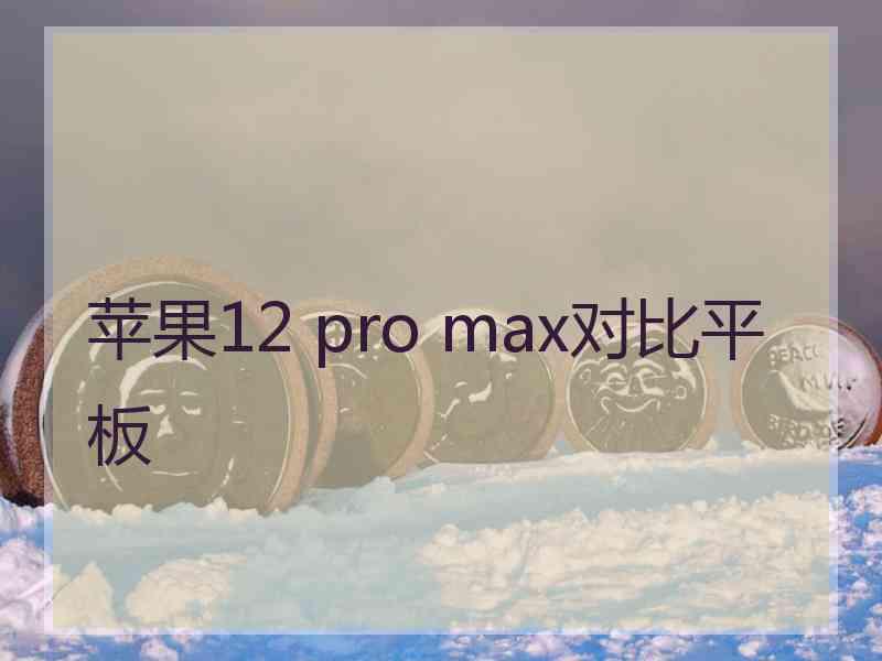 苹果12 pro max对比平板