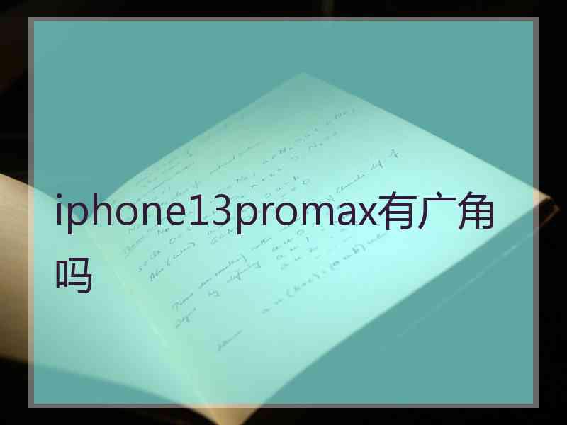 iphone13promax有广角吗