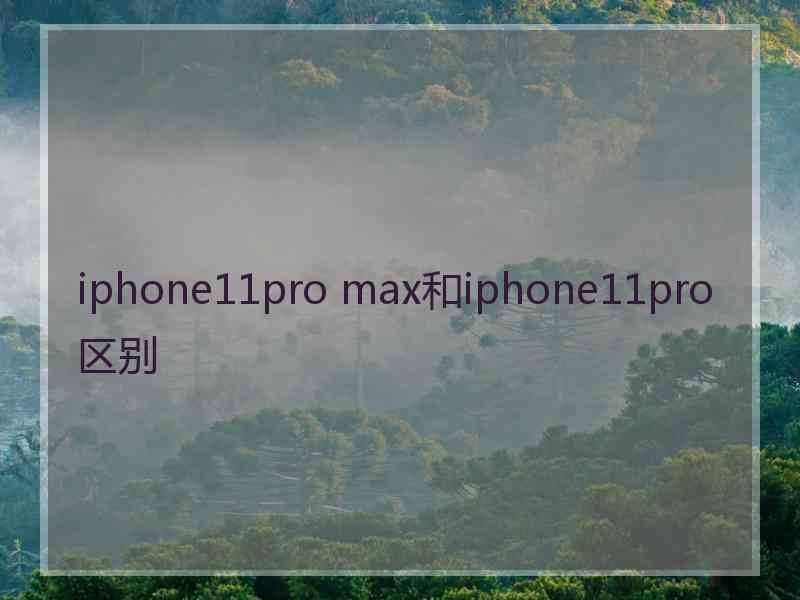 iphone11pro max和iphone11pro区别