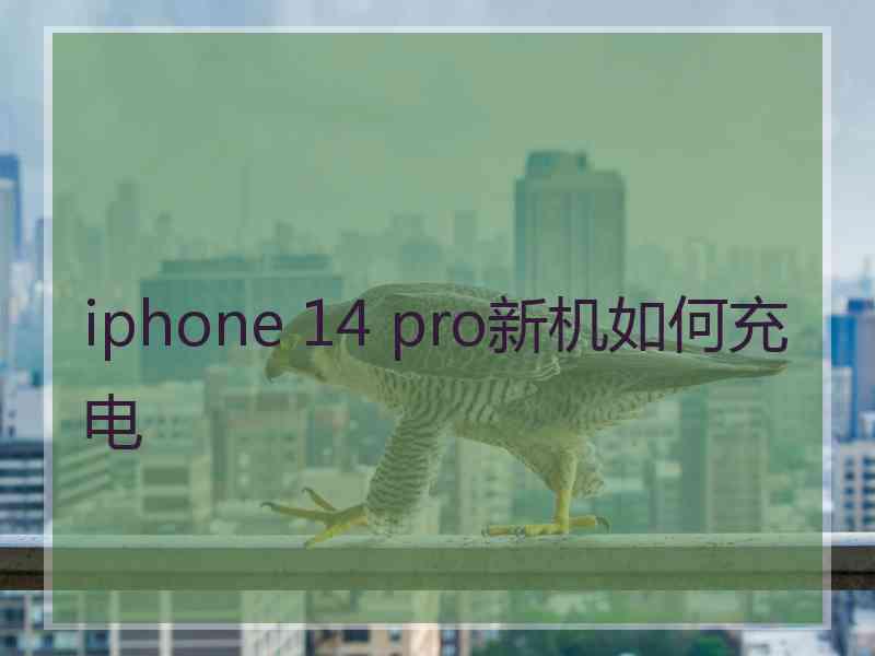 iphone 14 pro新机如何充电