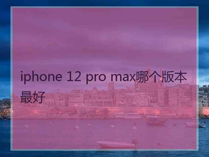 iphone 12 pro max哪个版本最好