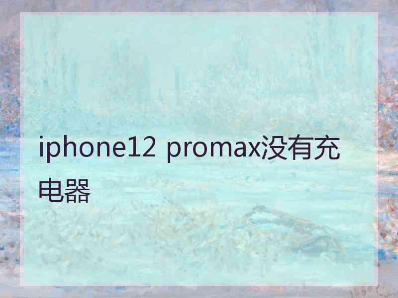 iphone12 promax没有充电器