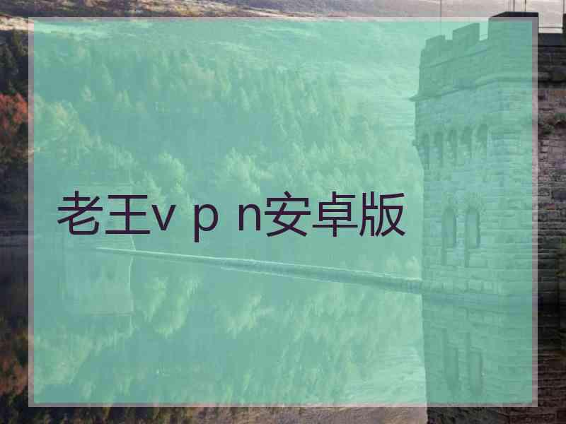 老王v p n安卓版