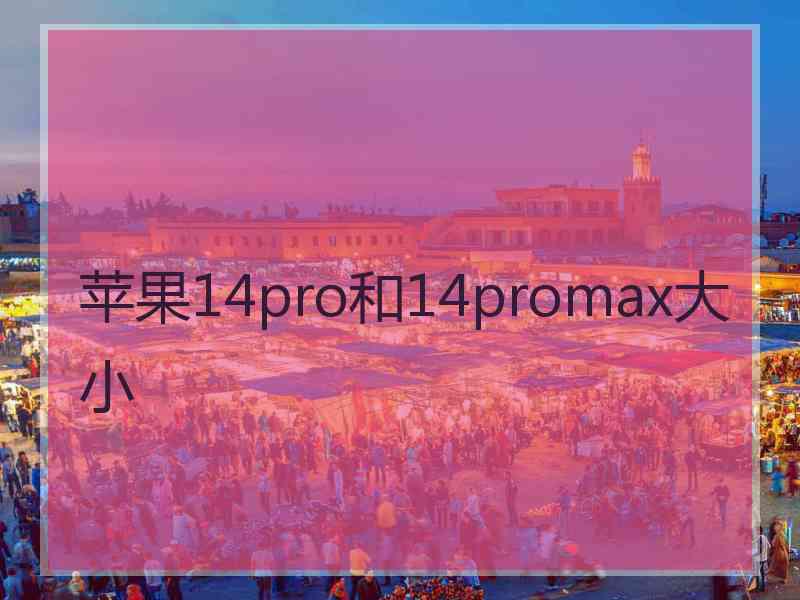 苹果14pro和14promax大小