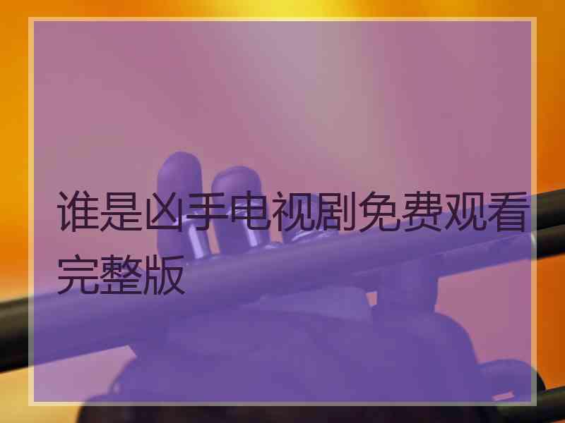 谁是凶手电视剧免费观看完整版