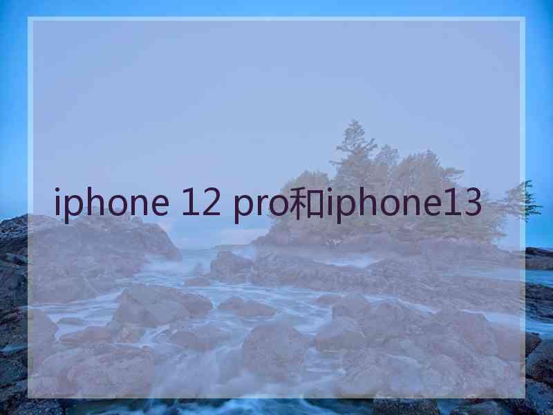 iphone 12 pro和iphone13