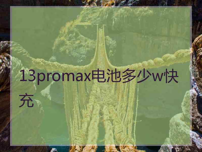 13promax电池多少w快充