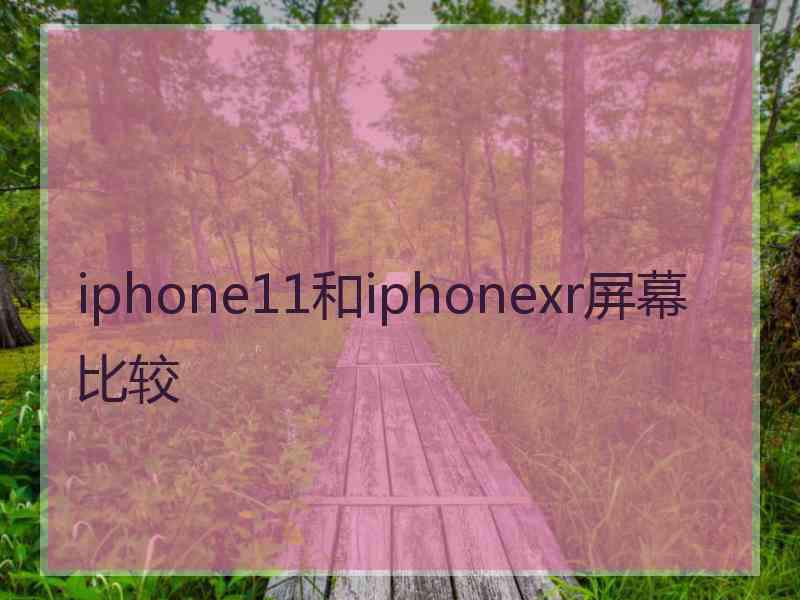 iphone11和iphonexr屏幕比较