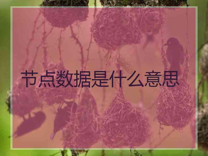 节点数据是什么意思