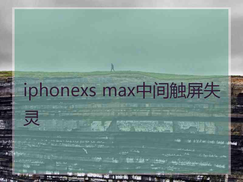 iphonexs max中间触屏失灵