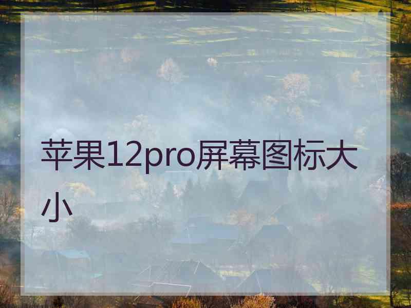 苹果12pro屏幕图标大小