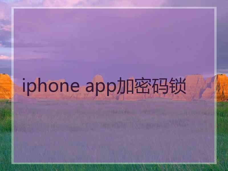 iphone app加密码锁