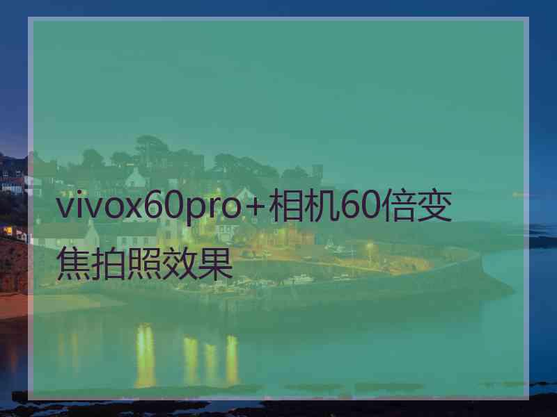 vivox60pro+相机60倍变焦拍照效果