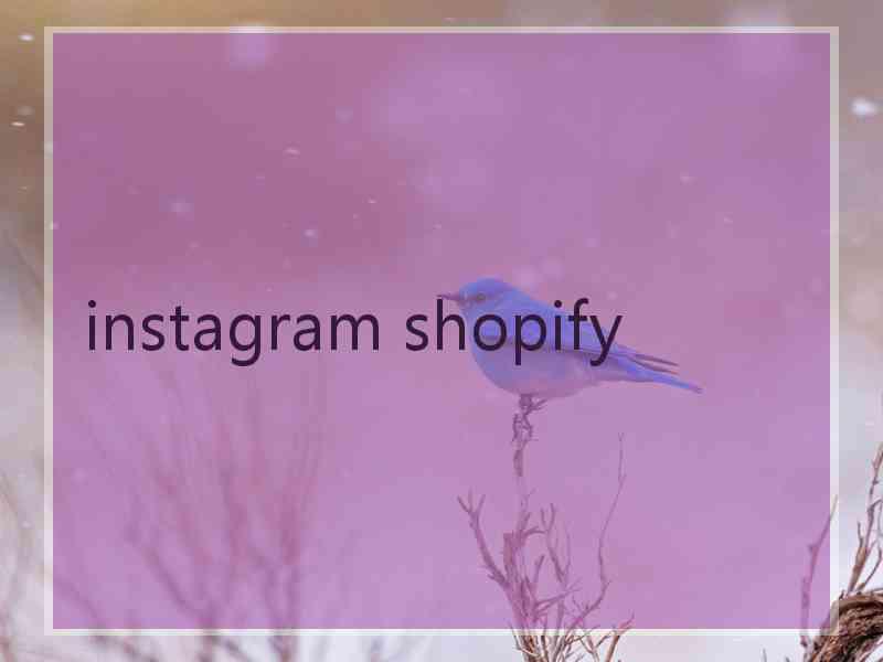 instagram shopify