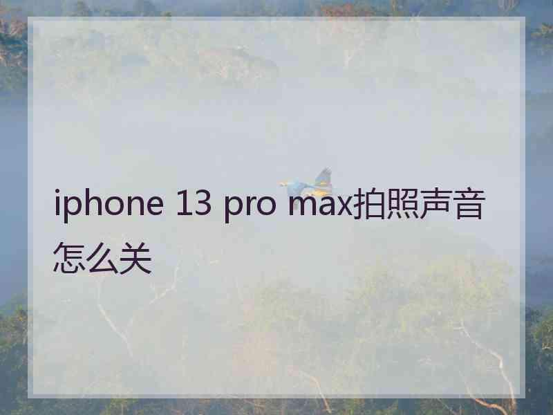 iphone 13 pro max拍照声音怎么关