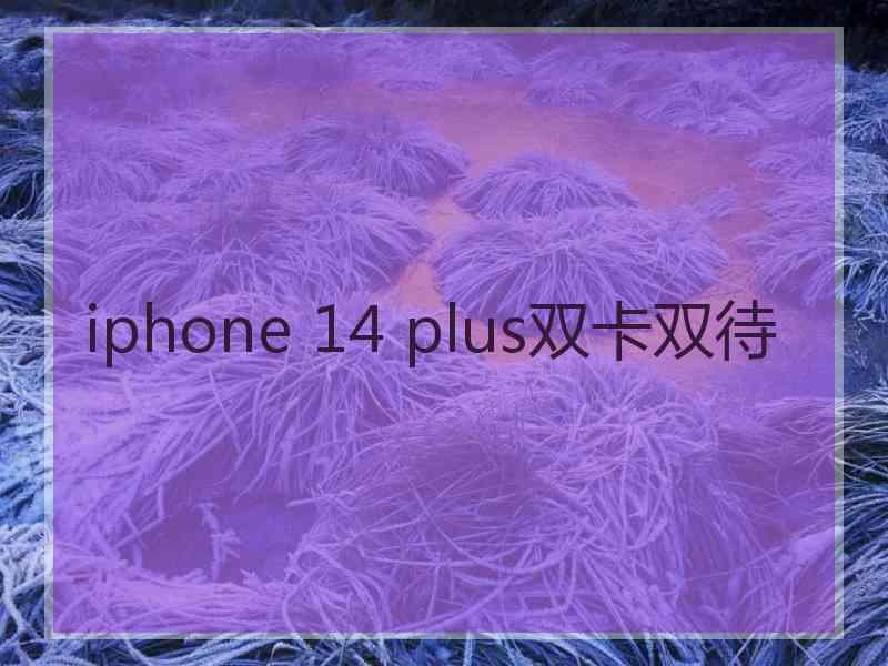 iphone 14 plus双卡双待