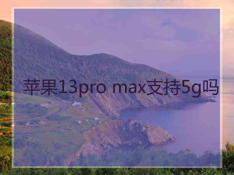 苹果13pro max支持5g吗