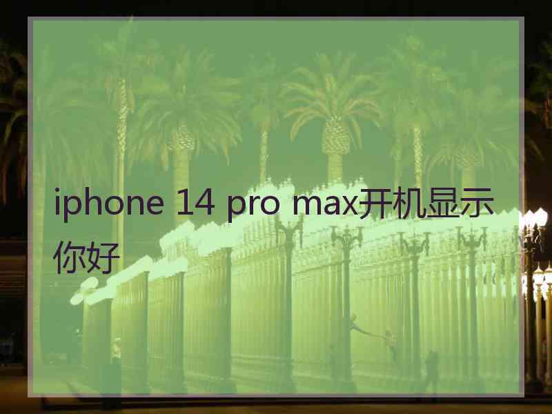 iphone 14 pro max开机显示你好