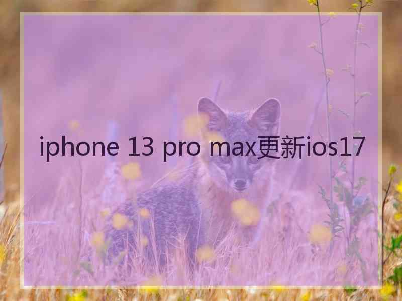 iphone 13 pro max更新ios17