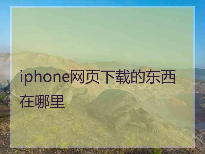 iphone网页下载的东西在哪里