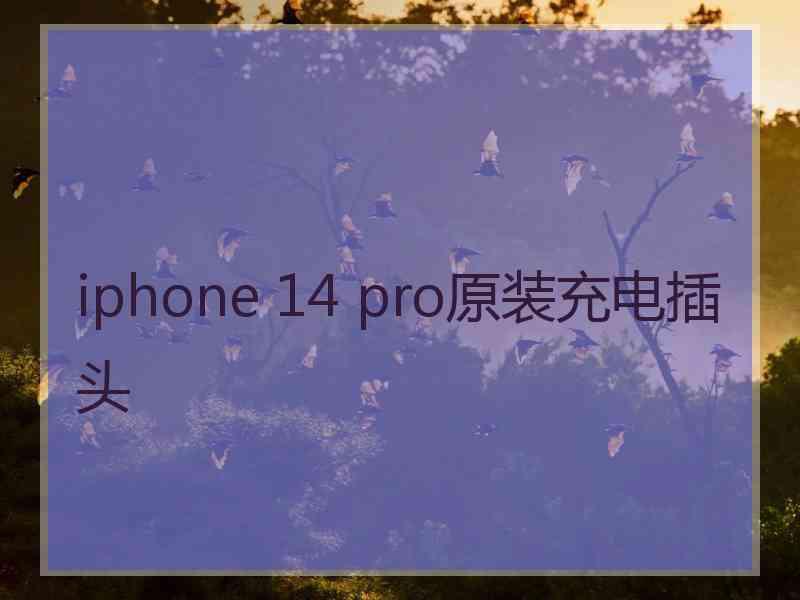 iphone 14 pro原装充电插头