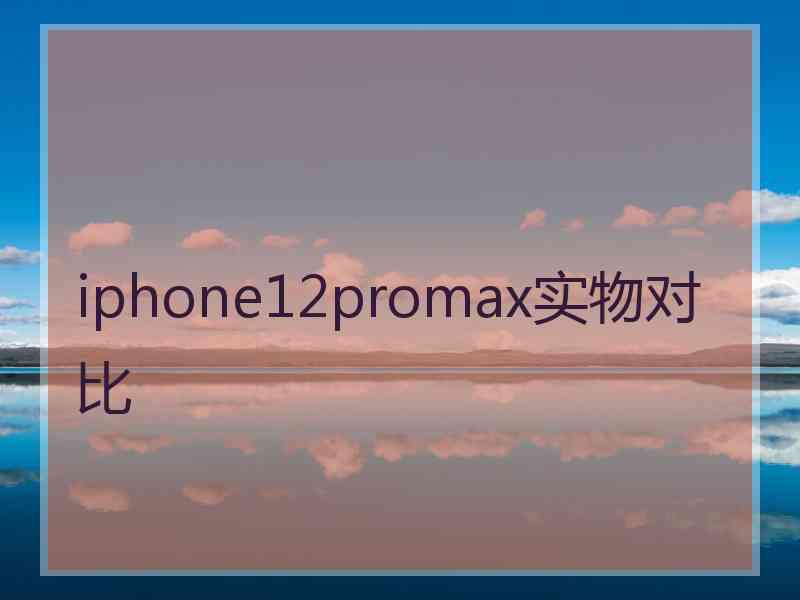 iphone12promax实物对比