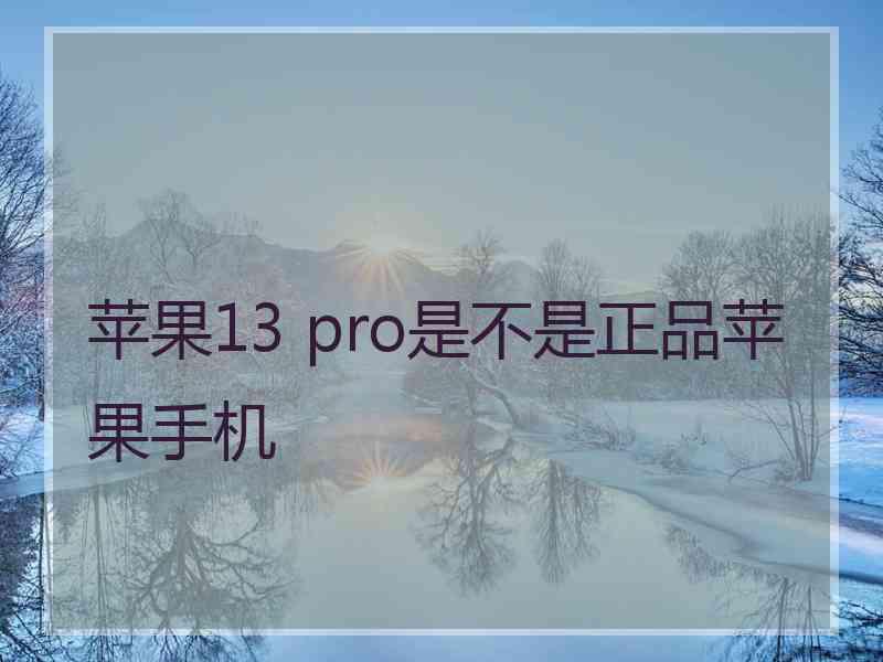 苹果13 pro是不是正品苹果手机