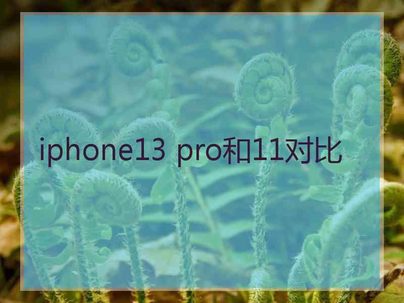 iphone13 pro和11对比