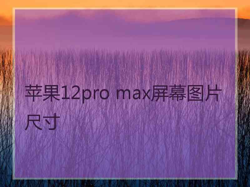 苹果12pro max屏幕图片尺寸