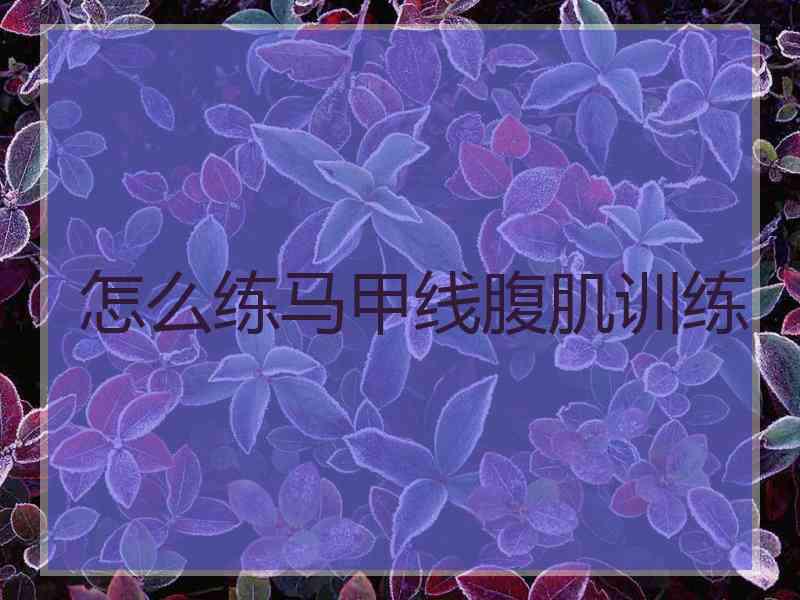 怎么练马甲线腹肌训练