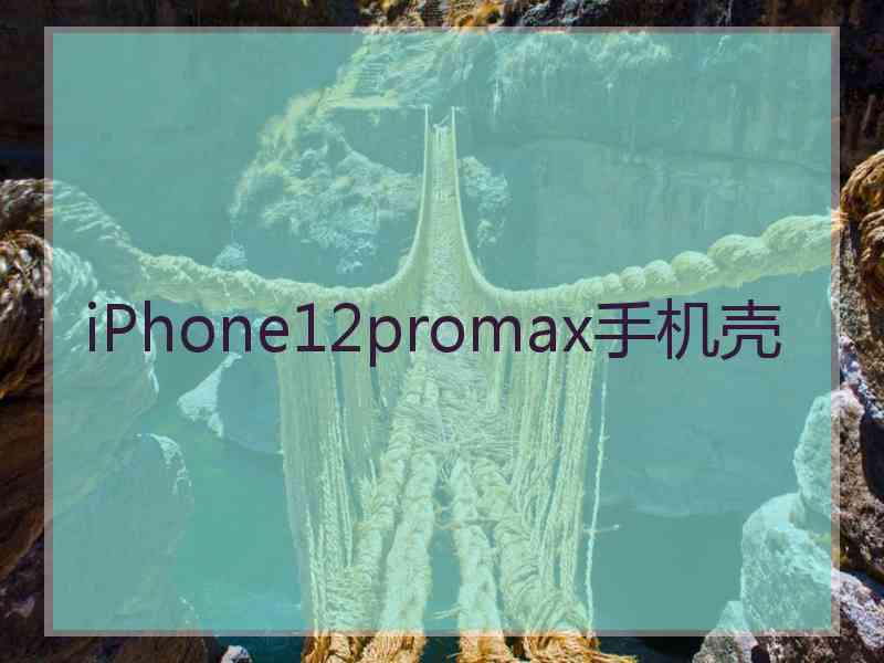 iPhone12promax手机壳