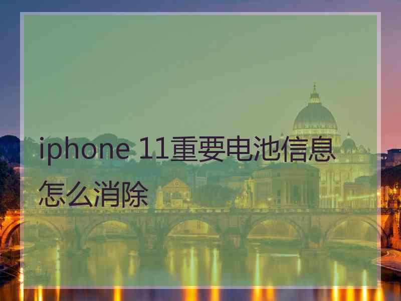 iphone 11重要电池信息怎么消除