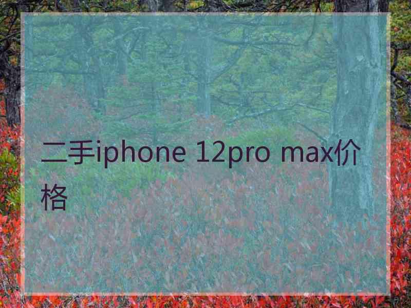 二手iphone 12pro max价格