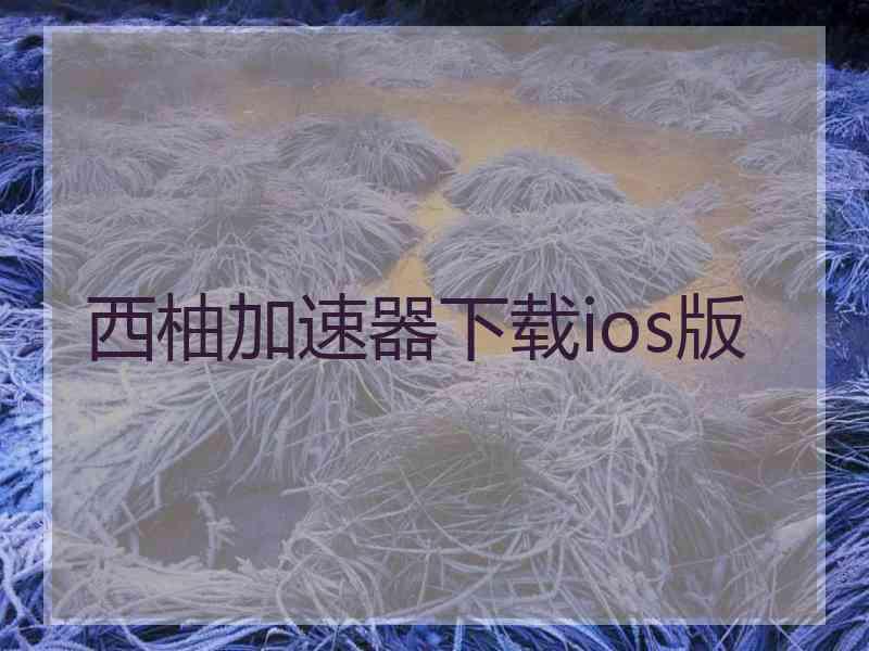 西柚加速器下载ios版