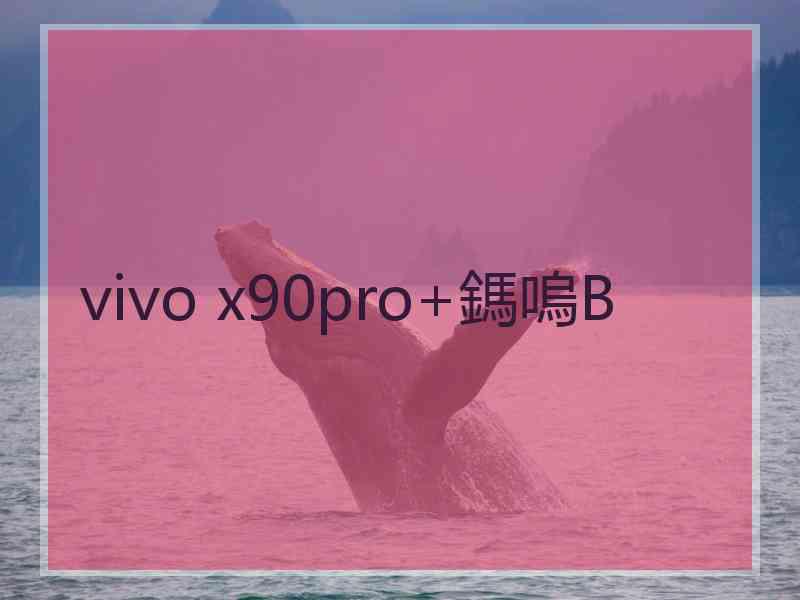 vivo x90pro+鎷嗚В