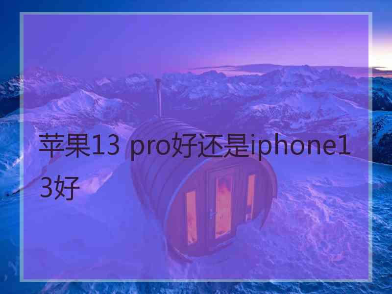 苹果13 pro好还是iphone13好